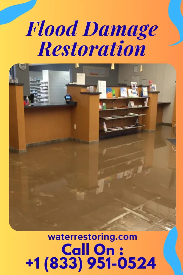 Flood Damage Restoration in Lake Crystal, MN