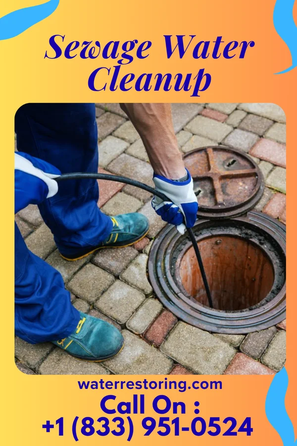 Sewage Water Cleanup in Lake Crystal, MN