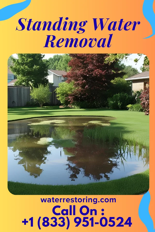 Standing Water Removal in Lake Crystal, MN
